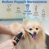 MALLMALL6 4 in 1 Dog Cat Power Motor Grooming Kit, 2 Speed Rechargeable Pet Hair Clippers with Guards, Low Noise Cordless Electric Paw Trimmer Nail Grinder Multifunctional Shaver for Dogs Cats Black