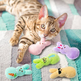MALLMALL6 5Pcs Easter Bunny Catnip Toys Gift for Cat Lover, Colorful Rabbit with Carrot Pattern Catmint Interactive Toy for Indoor Cats, Soft Plush Pet Presents Supplies, Kitten Teething Chew Kick Set