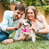 MALLMALL6 Valentines Wool Felted Heart Small Dog Collar, Adjustable Soft Bling Red Quick Release Snap Buckle Puppy Kitten Collars with Bell, Cute Loving Heart Pet Supplies for Dogs Cats Rose Pink