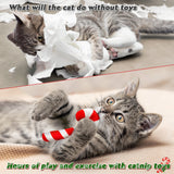 MALLMALL6 4Pcs Christmas Candy Cane Catnip Toys Gift for Cat, Indoor Cat Chew Bite Kick Plush Catmint Pet Toys Supplies for Cat Lover Xmas Gifts, Cute Interactive Cat Toy for Pet Presents