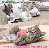 MALLMALL6 5Pcs Frosted Animal Cookie Catnip Crinkle Paper Sound Toys Gift for Cat, Catmint Teething Chew Kick Interactive Toy for Indoor Cats, Soft Plush Candy Pet Presents Supplies for Kitten Lover